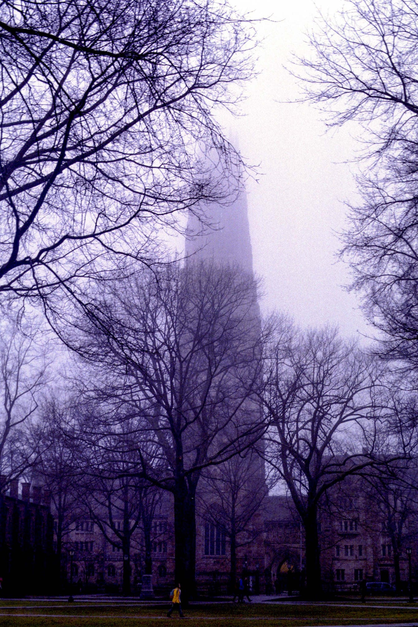 new haven 2