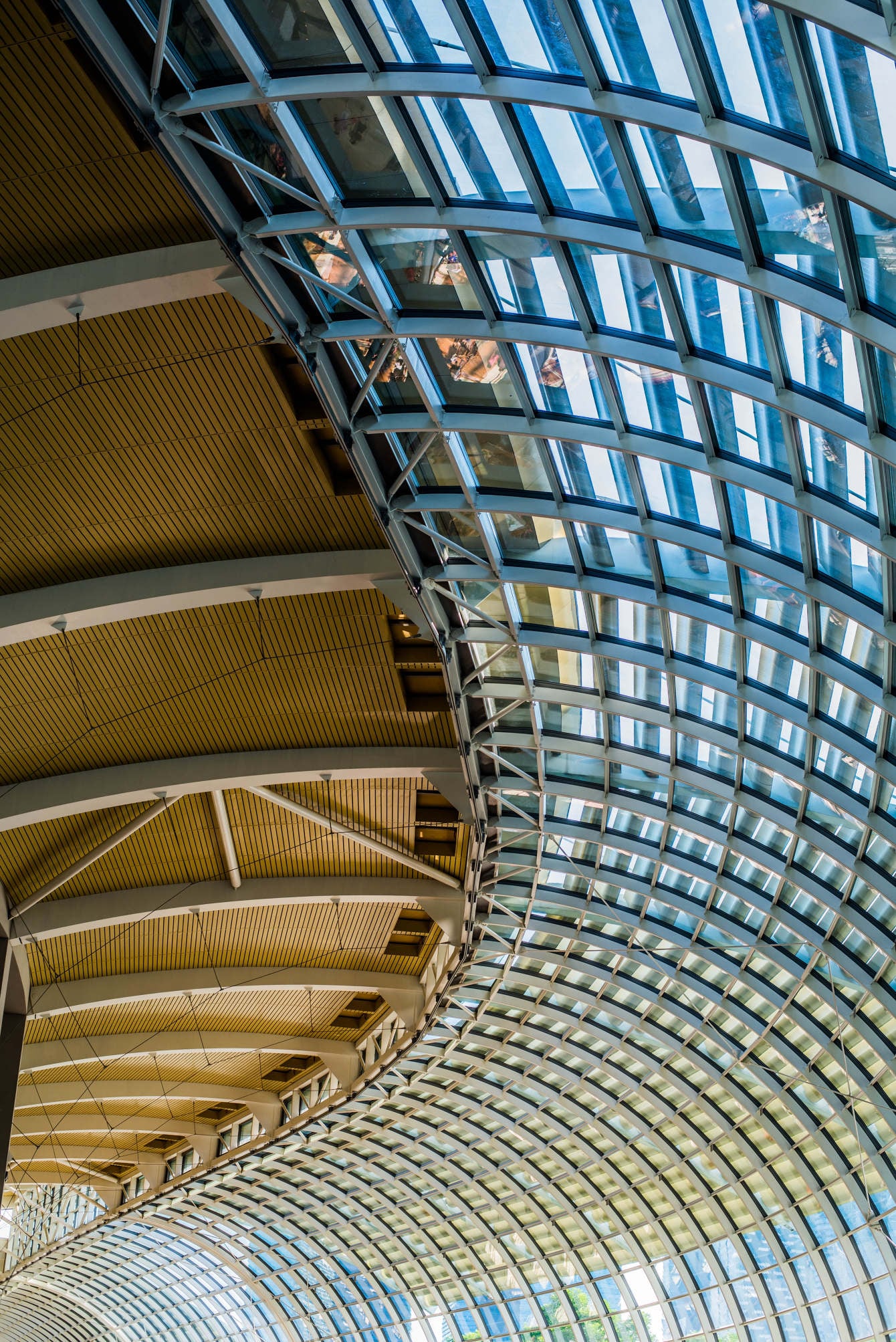 singapore 5